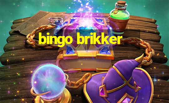 bingo brikker