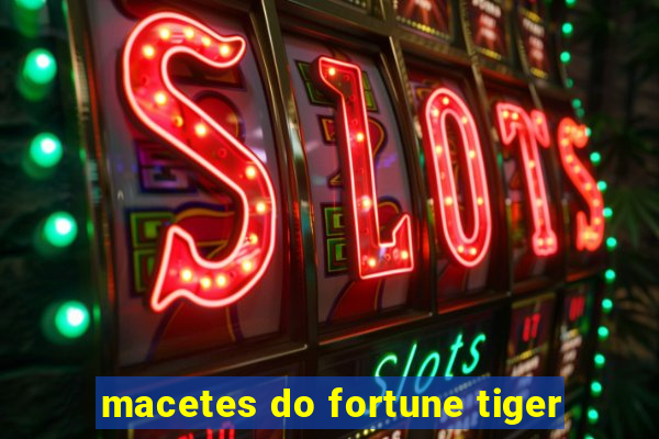 macetes do fortune tiger