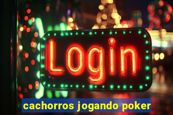 cachorros jogando poker