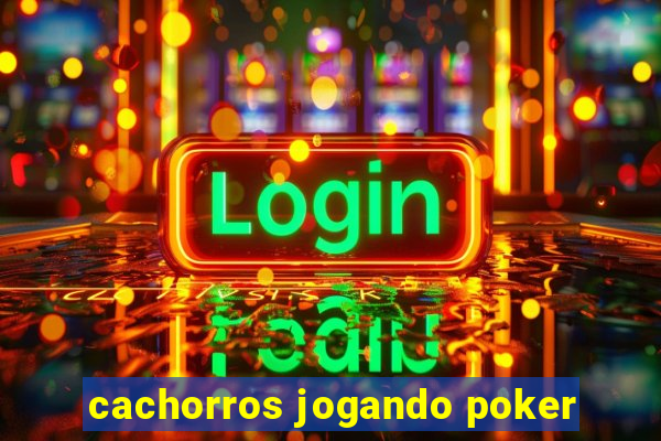 cachorros jogando poker