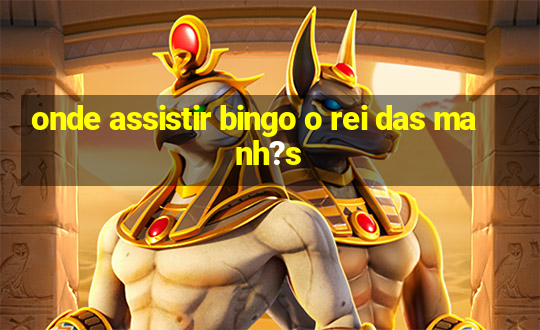 onde assistir bingo o rei das manh?s