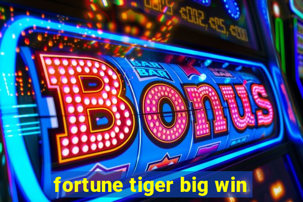 fortune tiger big win