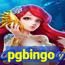 pgbingo