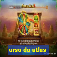 urso do atlas