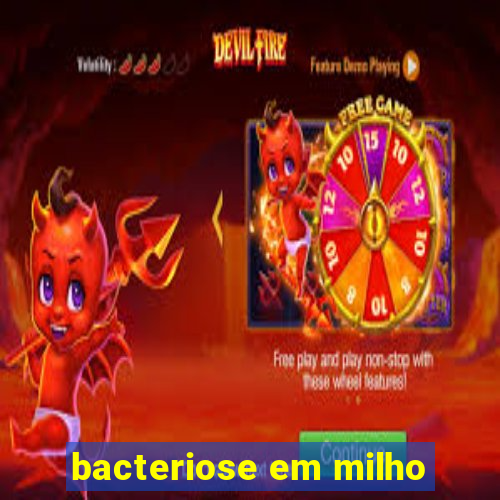 bacteriose em milho