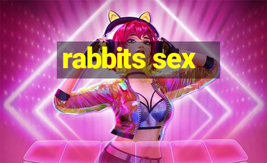 rabbits sex