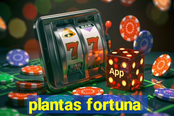 plantas fortuna