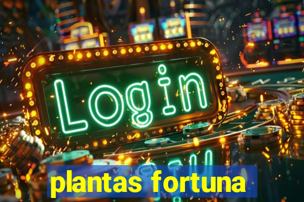 plantas fortuna