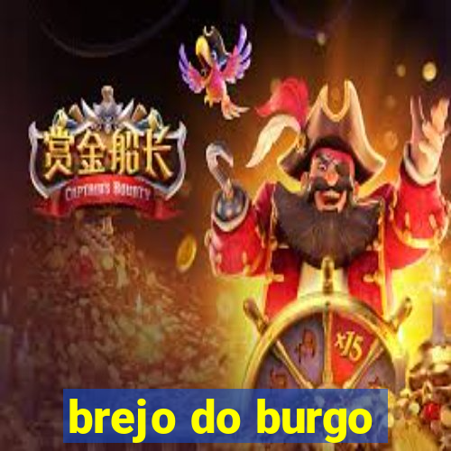 brejo do burgo