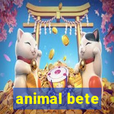 animal bete