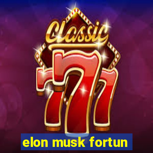 elon musk fortun