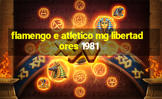 flamengo e atletico mg libertadores 1981