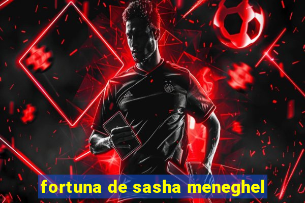 fortuna de sasha meneghel