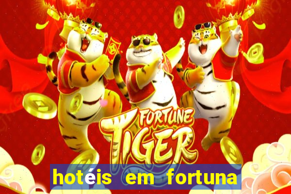 hotéis em fortuna de minas