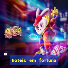 hotéis em fortuna de minas