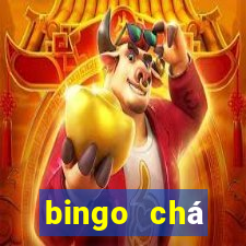 bingo chá revela??o pdf