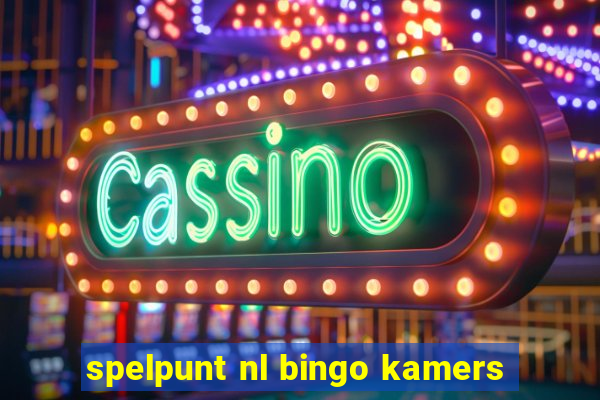 spelpunt nl bingo kamers