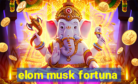 elom musk fortuna