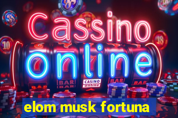 elom musk fortuna