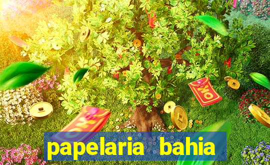 papelaria bahia getulio vargas feira de santana