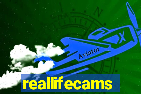 reallifecams