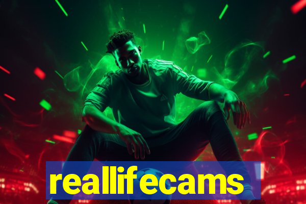 reallifecams