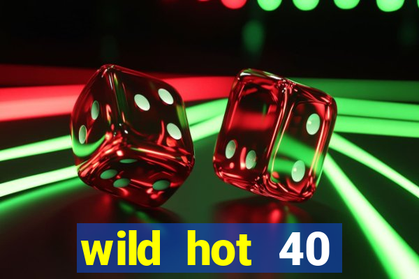 wild hot 40 christmas slot