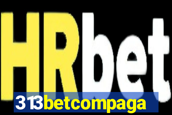 313betcompaga