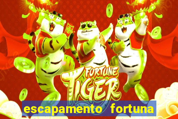 escapamento fortuna twister 250