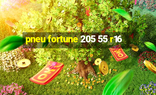 pneu fortune 205 55 r16