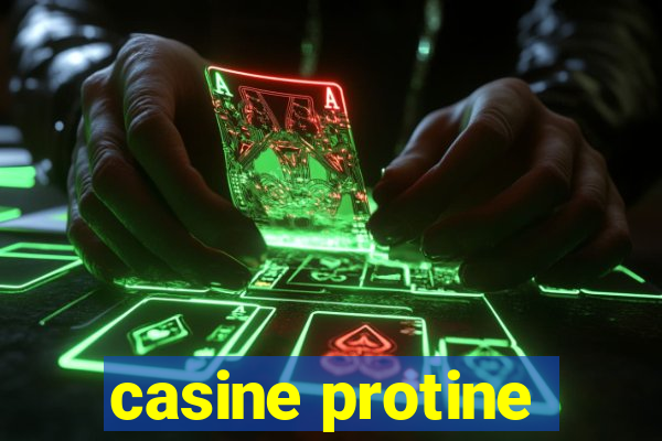 casine protine