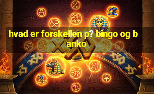 hvad er forskellen p? bingo og banko