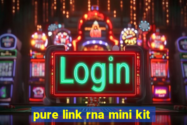 pure link rna mini kit