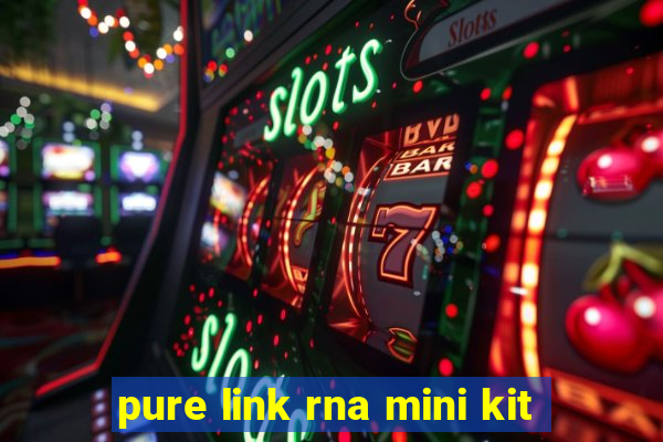 pure link rna mini kit