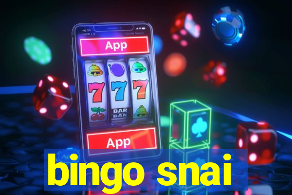 bingo snai