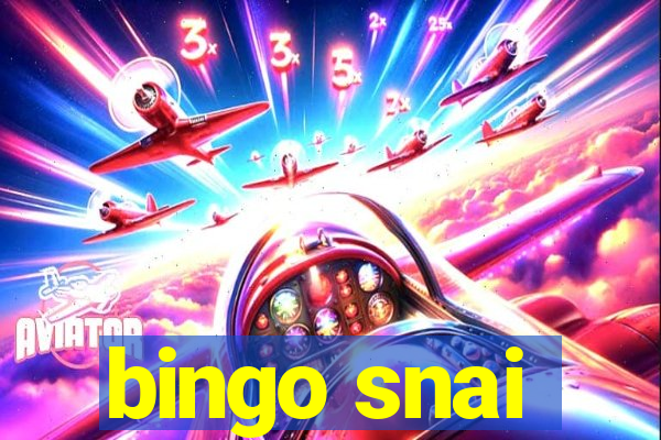 bingo snai