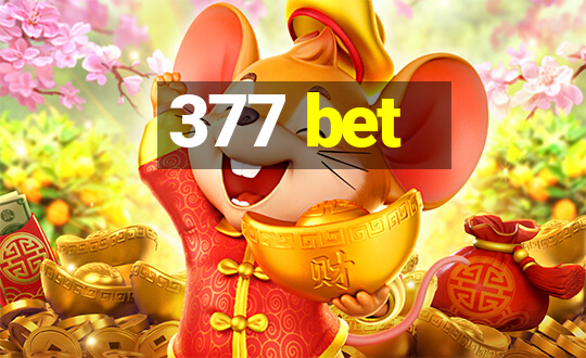 377 bet