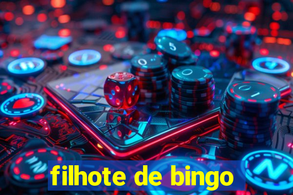 filhote de bingo