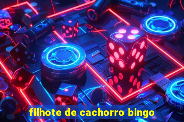 filhote de cachorro bingo