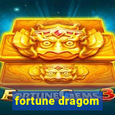 fortune dragom