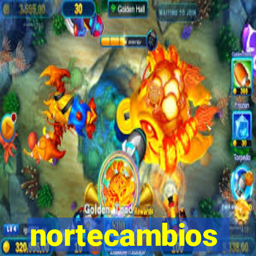 nortecambios