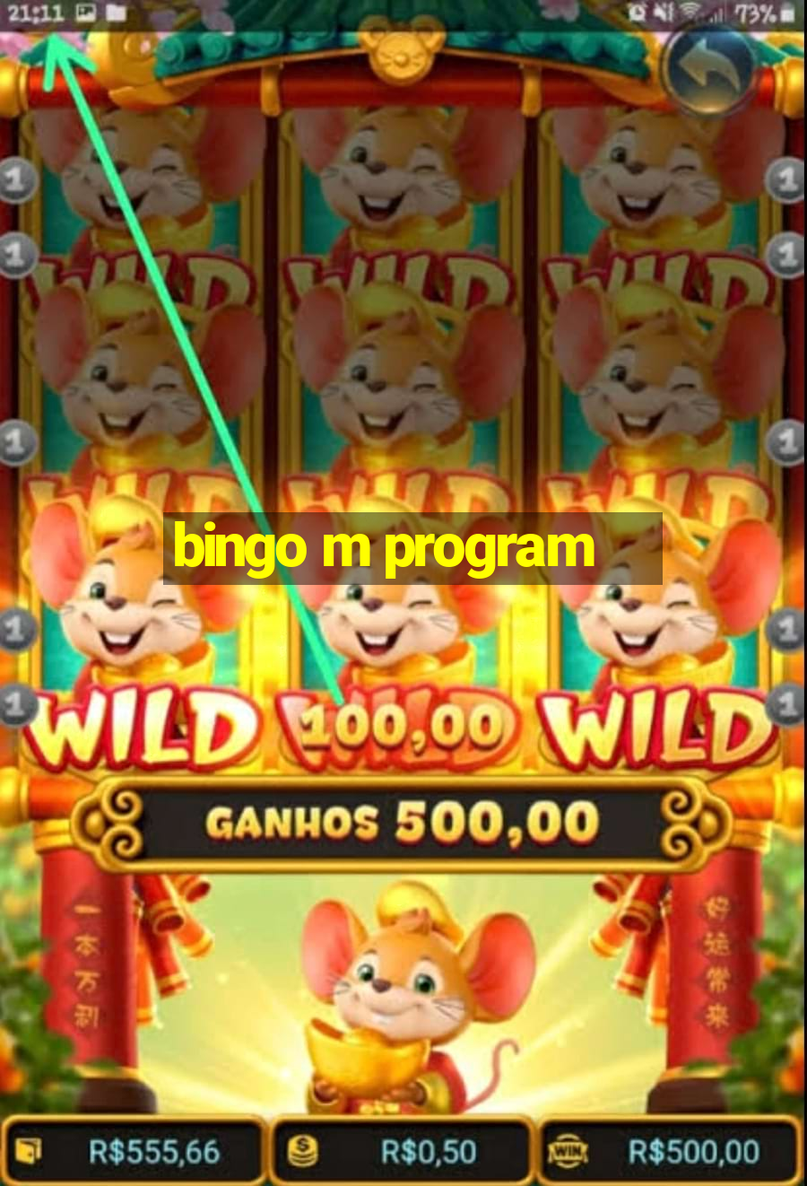 bingo m program