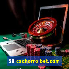 58 cachorro bet.com