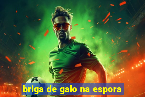 briga de galo na espora