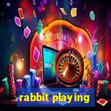 rabbit playing