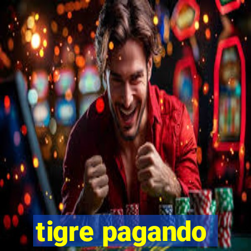 tigre pagando