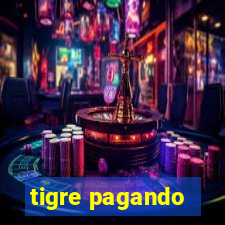 tigre pagando