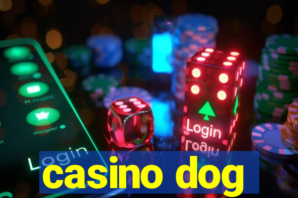 casino dog