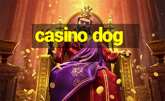 casino dog