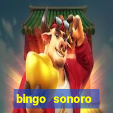 bingo sonoro educa??o infantil